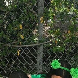 Meet your Posher, Maya